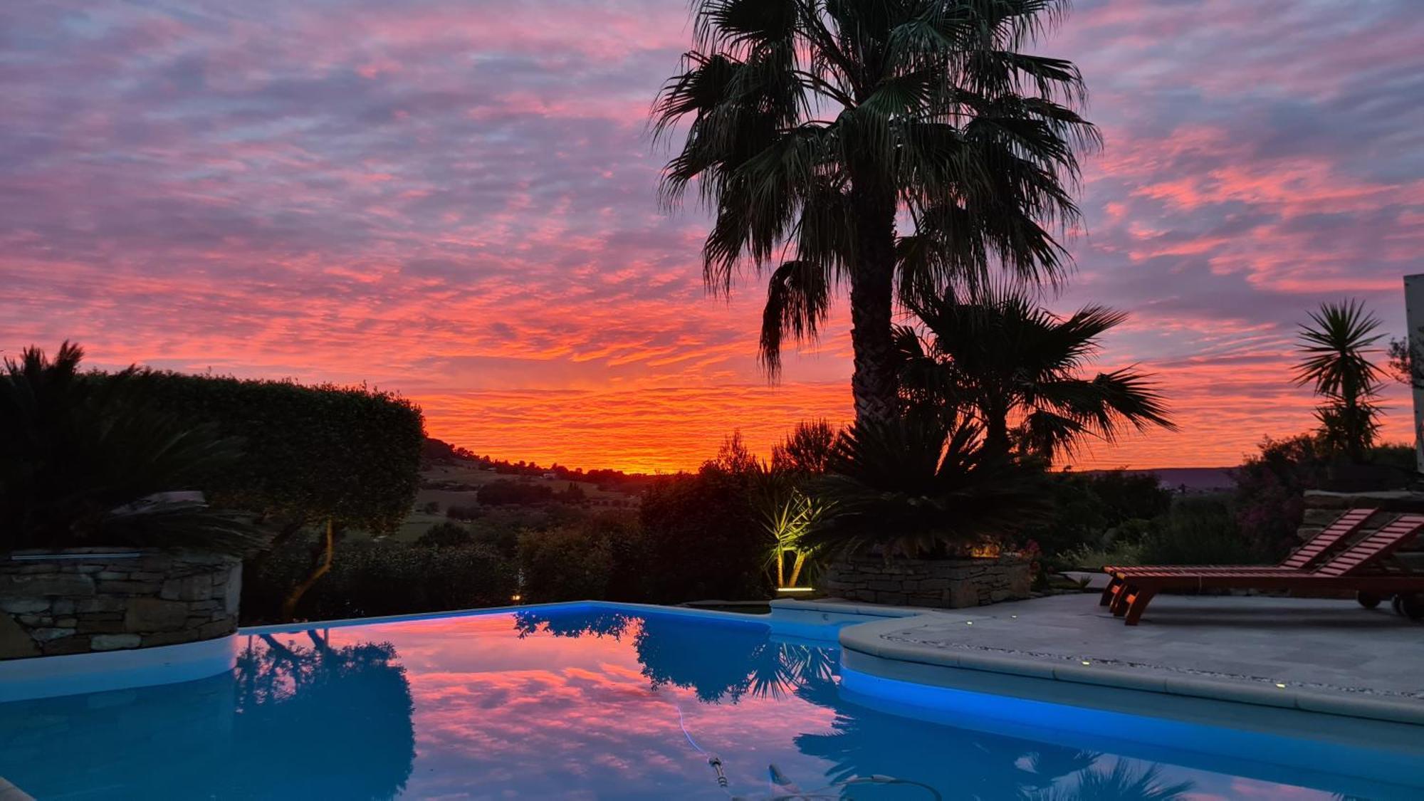 La Cigale Sous L'olivier Le Castellet (Var)